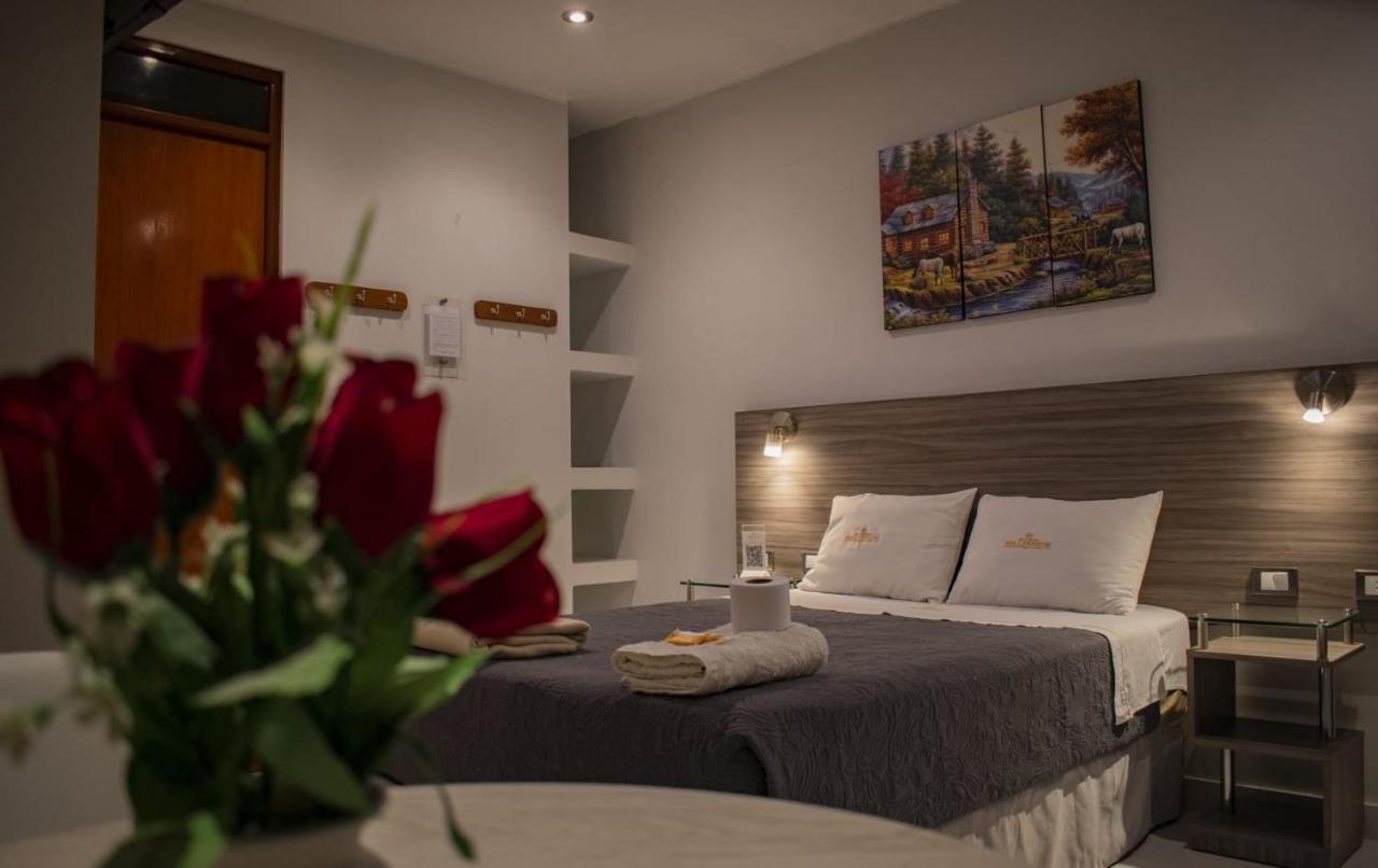 Millennium Hotel Corporative San Vicente de Cañete Buitenkant foto